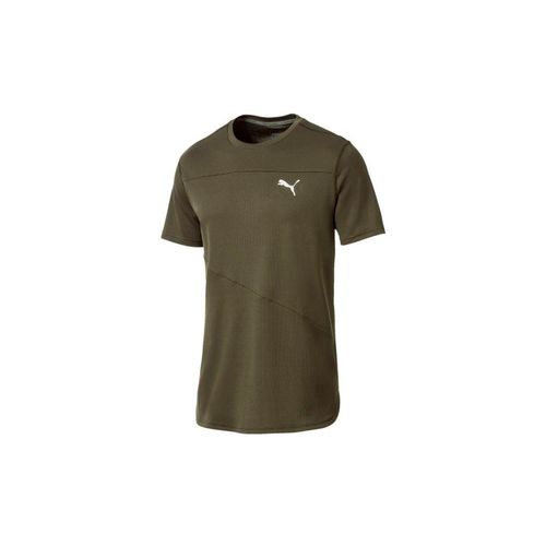 mono puma hombre mono puma hombre