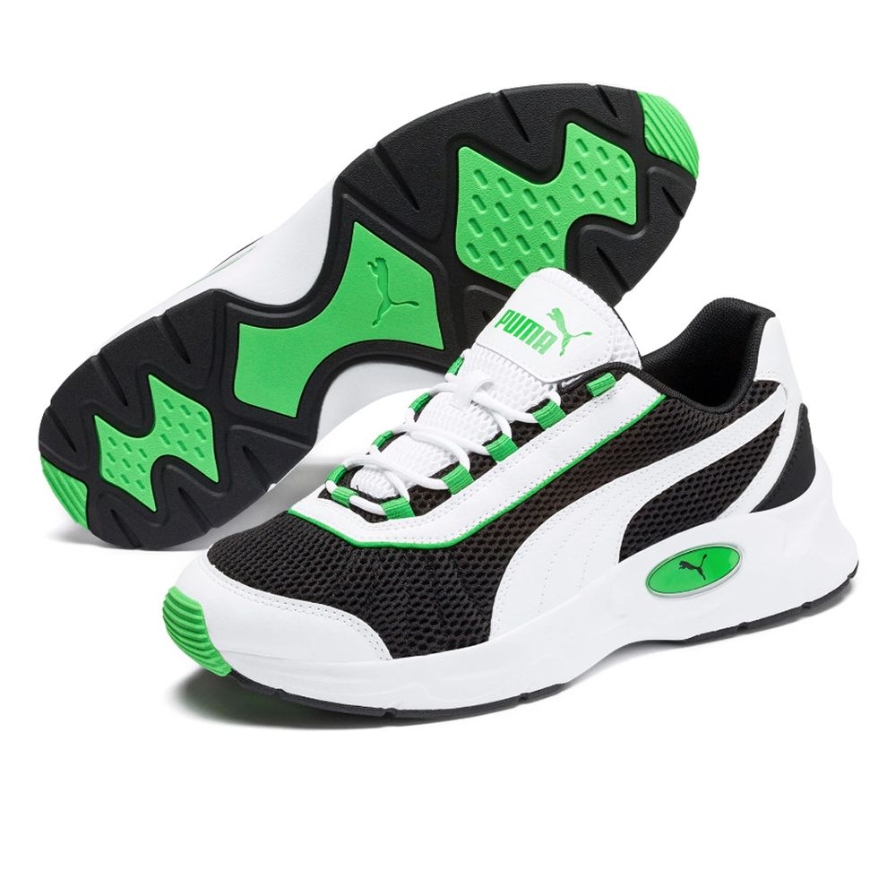 nucleus puma